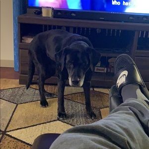 Meet your Posher, Travis